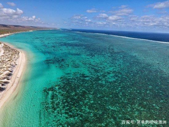 银河中动物逃生