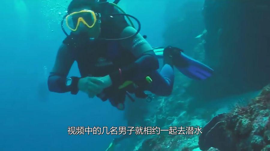 蚊子猎手