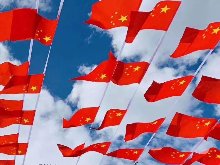 破碎的动物图形