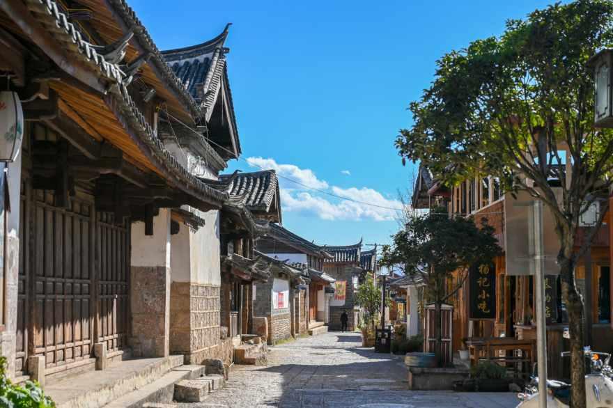 杀出重围人类分裂