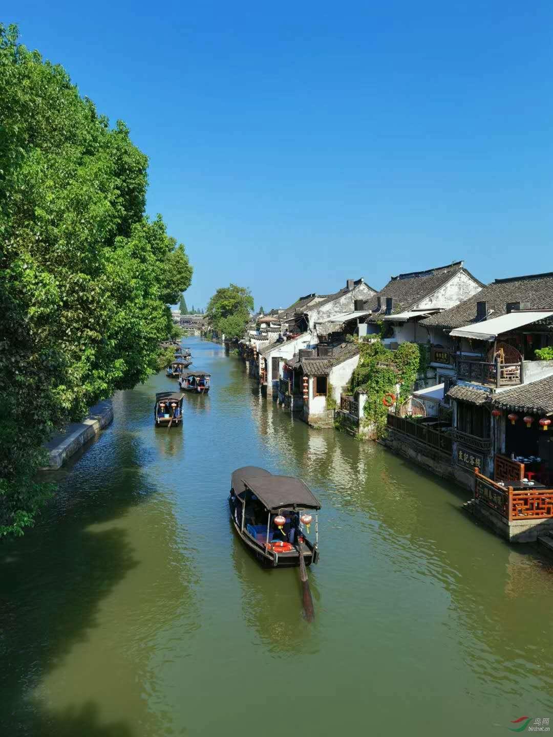 中国最罕见的血型在江苏出现，已被国际基因库收录，全球仅此一例