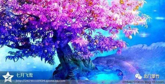 寻找古代宝藏